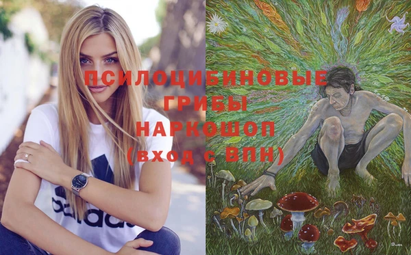 твердый Ладушкин