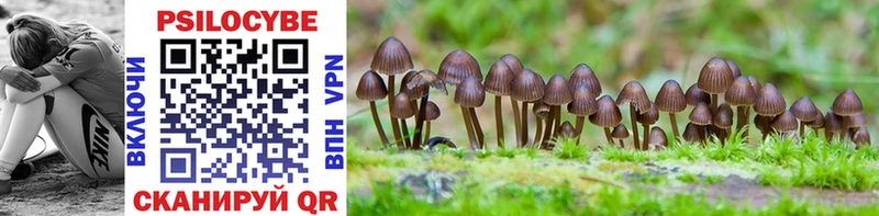 Псилоцибиновые грибы Magic Shrooms  цены наркотик  MEGA зеркало  Камышин 