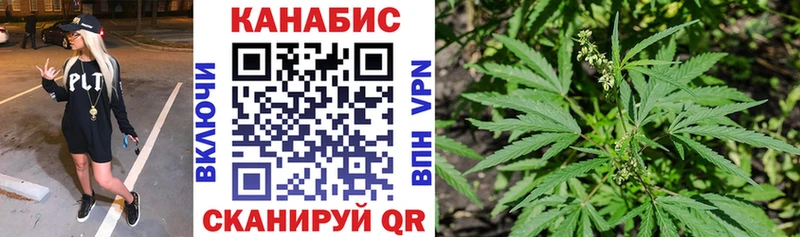 KRAKEN ССЫЛКА  Камышин  Шишки марихуана план 